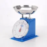 Mechanical Spring Scale 20 kg – Thanglong